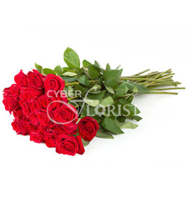 Red Roses. Saint Petersburg